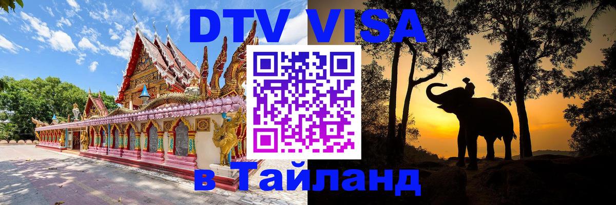 Сколько стоит DTV виза — актуальные цены, оформление даже без документов - Таллин 